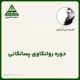 دوره روان‌کاوی پسالکانی